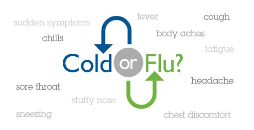 The Difference Between Cold and Flu