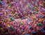 Illustration of the human gut microbiome ecosystem showing diverse bacterial communities in the digestive tract