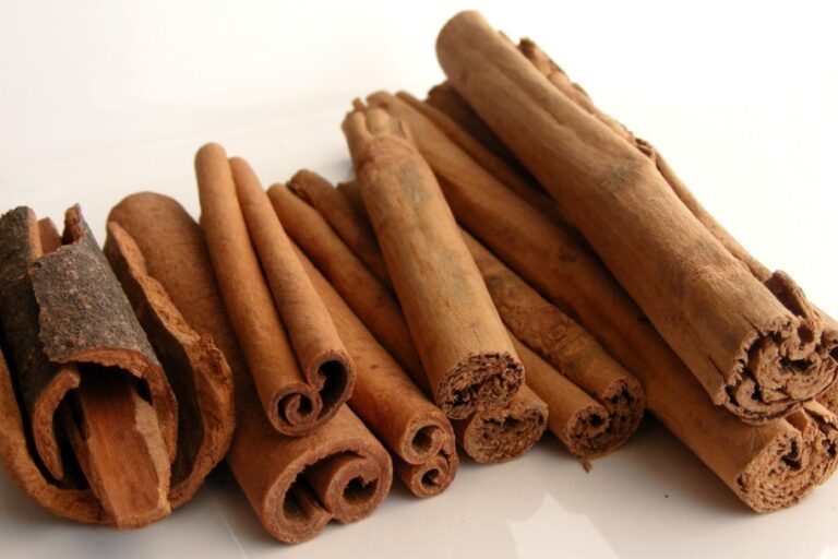 Cinnamon_Variaties_-_Robin cinnamon