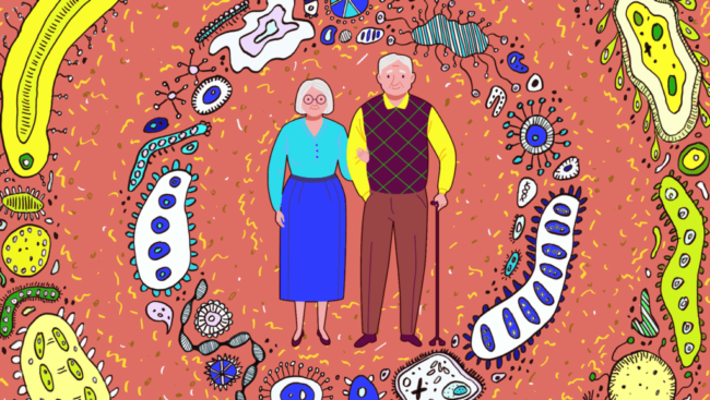 Elderly-microbiome-1024×578