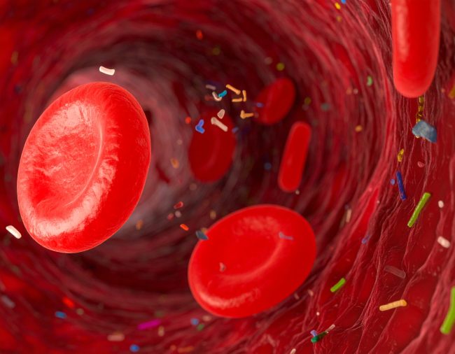 Firefly_microplastics in the blood stream 425033 microplastics