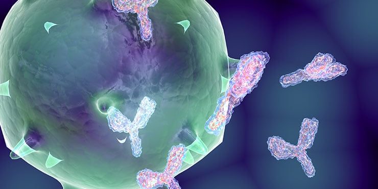 Flu Shot FAQs vaccine