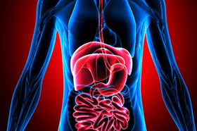 GI Tract Health & Problems GI Tract Health & Problems