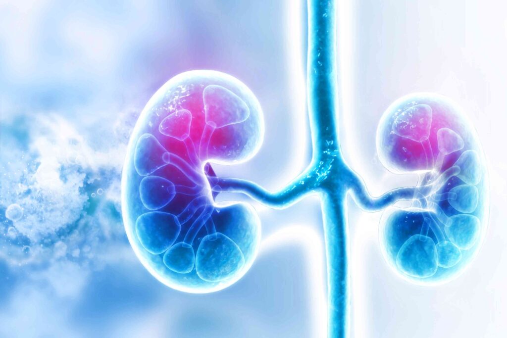 Research Study to Improve Kidney Function in People With Chronic Kidney Disease Who do Not Have Diabetes