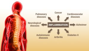 reduce chronic inflammation