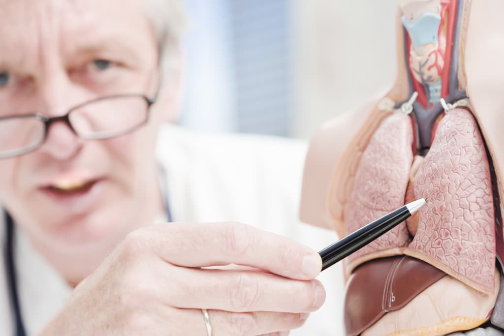 Study to Improve Lung Function in People With Idiopathic Pulmonary Fibrosis (IPF)